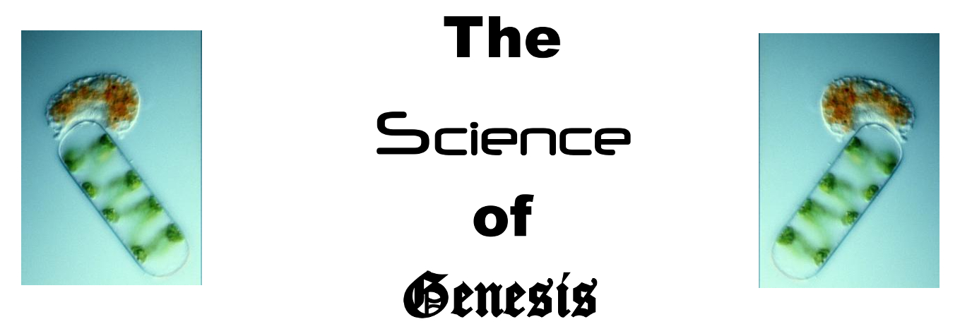 The Science of Genesis